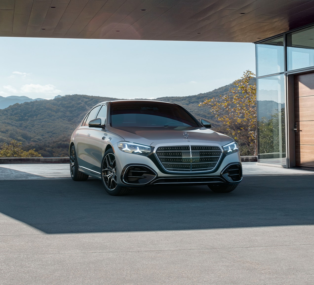 Style AMG en option
